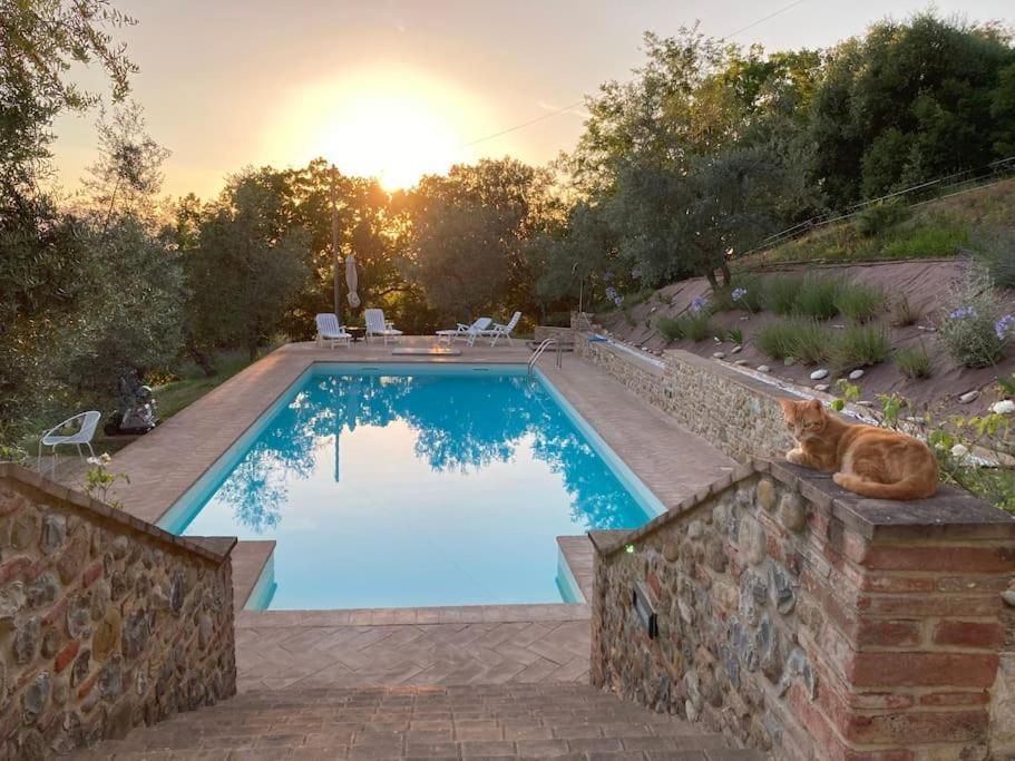 Vesper - Casale Con Piscina - Ad Galli Cantum Citta della Pieve Exterior photo