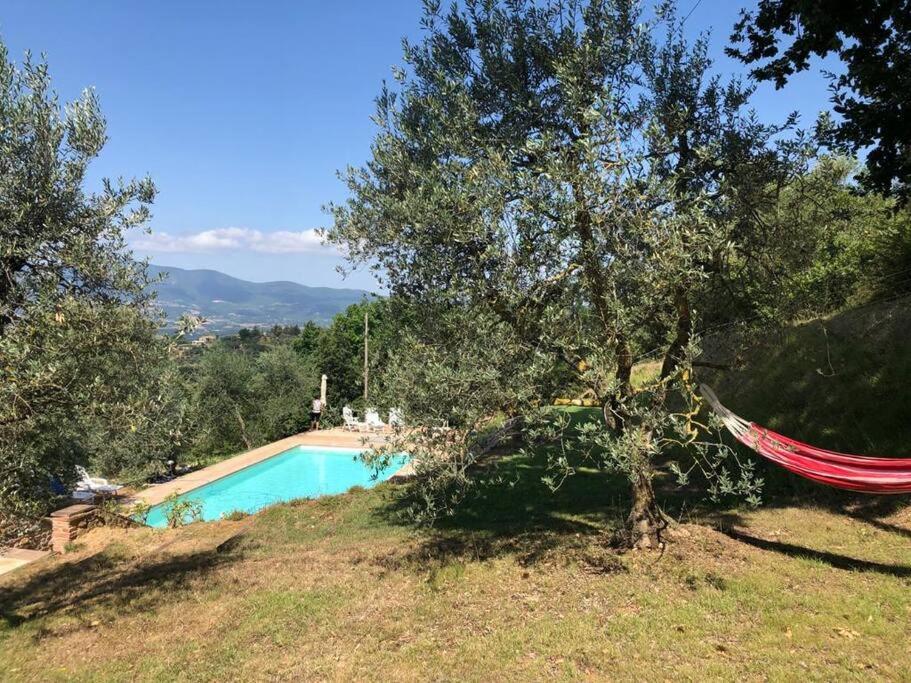 Vesper - Casale Con Piscina - Ad Galli Cantum Citta della Pieve Exterior photo